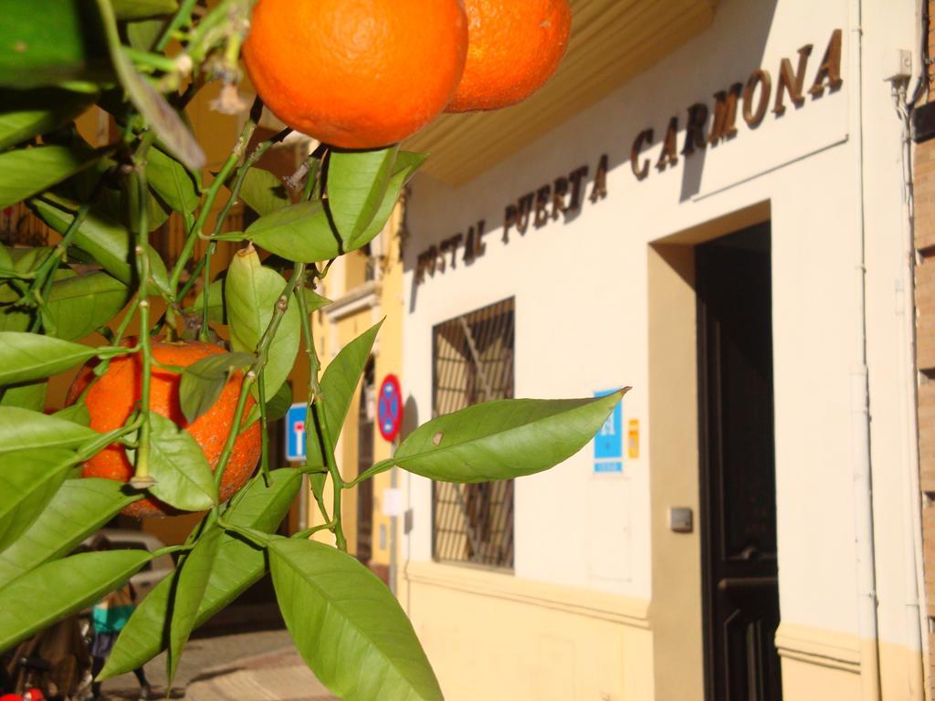 Hostal Puerta Carmona Seville Exterior photo